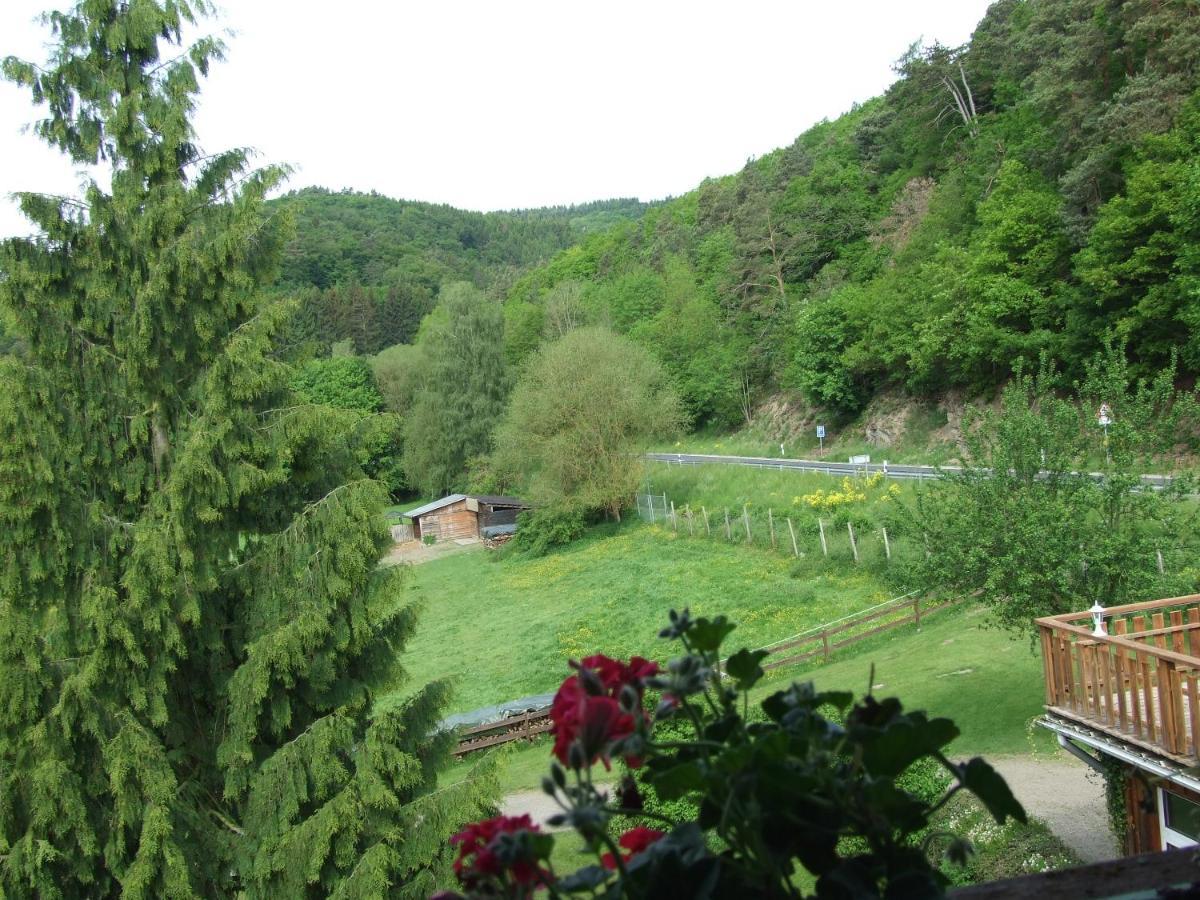 Hotel Forsthaus Volkesfeld Esterno foto
